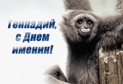 Открытки с днём рождения Гена. Открытки с именем Геннадий скачать бесплатно.