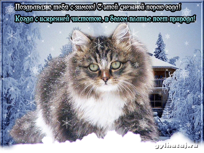 Анимационные открытки с зимним пейзажем. Открытки времена года. Новогодние от...