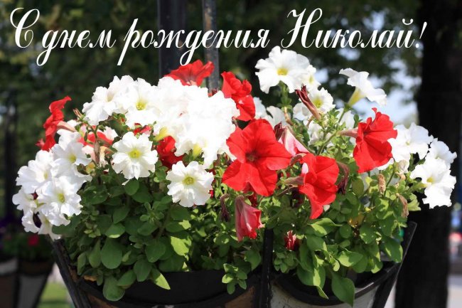 Поздравительные открытки с именем Николай. Открытки с днём рождения Коля.