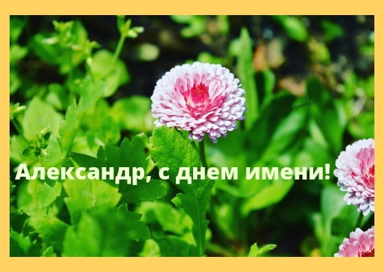 Поздравительные открытки Александру. Открытки с именем Александр скачать бесп...