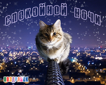 Gif анимации открыток спокойной ночи. Открытки с пожеланиями на ночь.