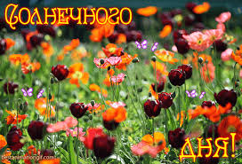 Открытки с пожеланиями хорошего дня. Скачать бесплатно открытки удачного дня.