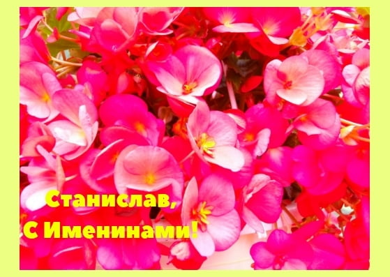 С днём рождения Станислав открытки. Открытки с именем Стас скачать бесплатно.