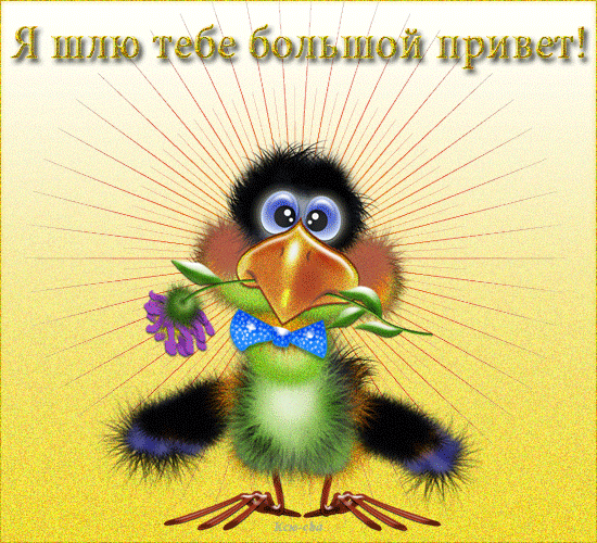 Красивые анимационные открытки с различными приветствиями скачать бесплатно.