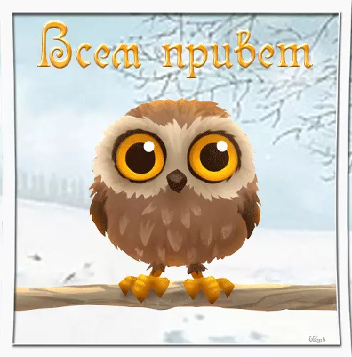 Красивые анимационные открытки с различными приветствиями скачать бесплатно.