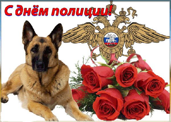 Открытки на День сотрудника органов внутренних дел Российской Федерации скачать бесплатно.