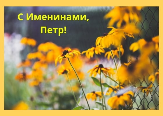 С днём рождения Петя открытки. Открытки с мужскими именами. Открытки с именем...