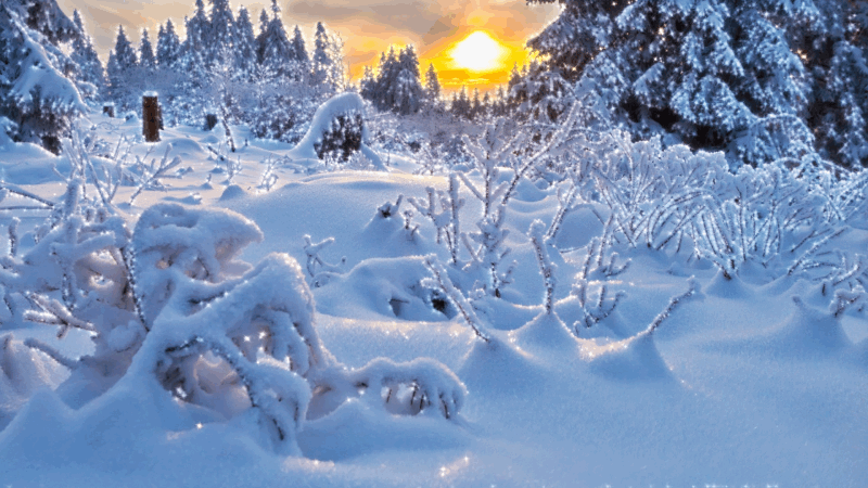 Анимационные открытки с зимним пейзажем. Открытки времена года. Новогодние от...