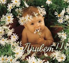 Красивые анимационные открытки с различными приветствиями скачать бесплатно.