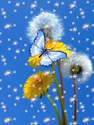 Мерцающие открытки с бабочками. Открытки с красивыми бабочками скачать беспла...