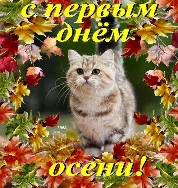 Красивые анимационные открытки на первый день осени скачать бесплатно