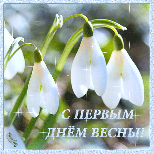 Красивые открытки с первым днем весны. Открытки с первым днем весны скачать бесплатно.