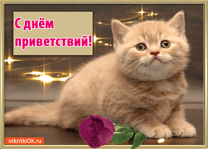 Веселые открытки с пожеланиями на Всемирный день приветствий скачать бесплатно.