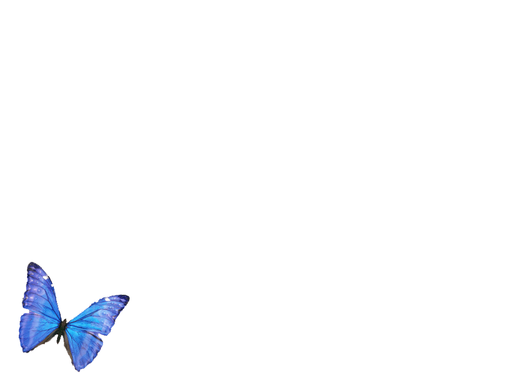 Мерцающие открытки с бабочками. Открытки с красивыми бабочками скачать беспла...