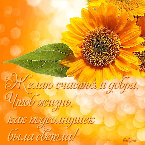 Скачать бесплатно открытки с пожеланиями счастья. Мерцающие открытки желаю сч...