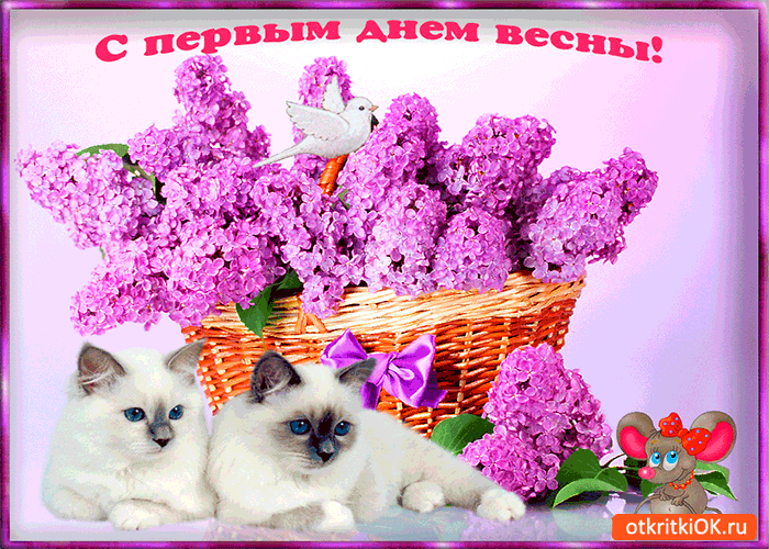 Красивые открытки с первым днем весны. Открытки с первым днем весны скачать бесплатно.