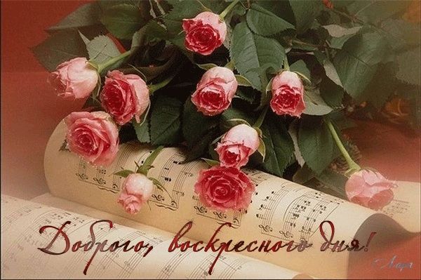 Мерцающие открытки про воскресенье. Открытки на воскресное утро.