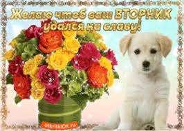 Позитивные открытки на вторник. Картинки про вторник скачать бесплатно.