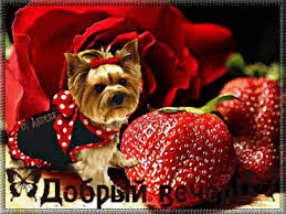 Анимационные открытки приятного вечера. Скачать бесплатно открытки хорошего в...