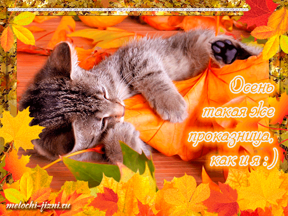 Оригинальные открытки с изображением осени. Открытки осень скачать бесплатно.