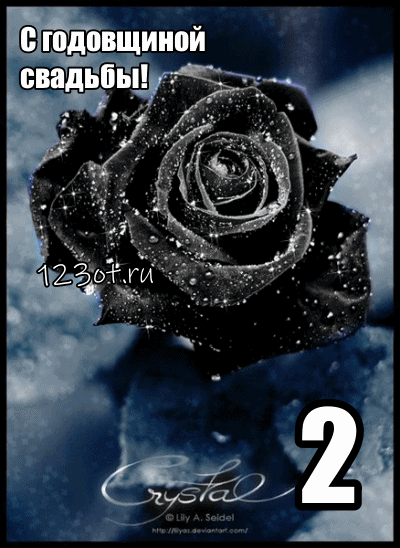 Анимационные поздравления на на Бумажную свадьбу 2 года. Поздравительные карт...