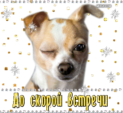 Бесплатные открытки с прощаниями. Открытки до скорой встречи скачать бесплатно.