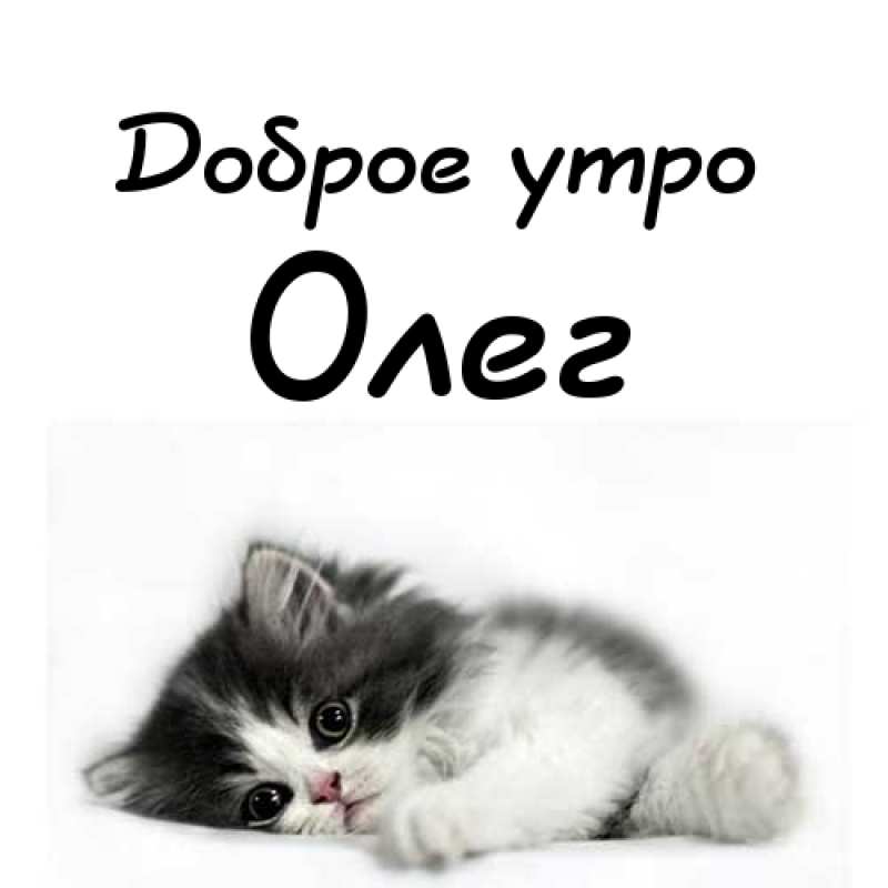 Открытки с днём рождения Олег. Открытки с именем Олег с признаниями.