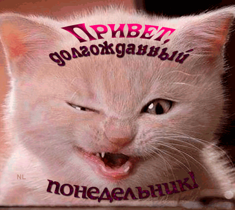 Открытки с наилучшими пожеланиями на понедельник. Открытки на понедельник ска...