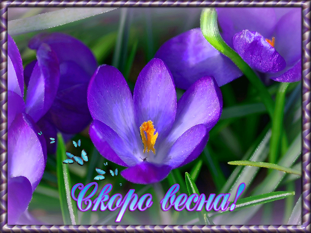 Красивые мерцающие открытки на весеннюю тематику. Скачать бесплатно открытки ...