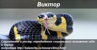 Скачать открытки с именем Витя. Открытки с днём рождения Виктору.