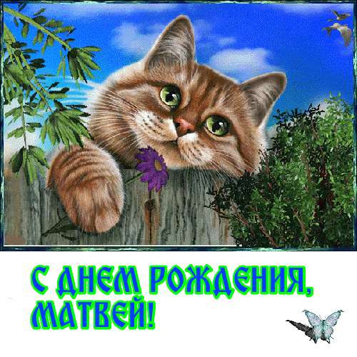 Открытки с именем Матвей gif. Открытки с именем Матвей с признаниями в любви.