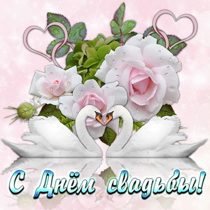 Открытки с днем свадьбы с красивыми пожеланиями скачать бесплатно.