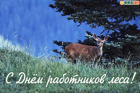 Открытки с днём работника леса с поздравлениями. Красивые открытки на день ле...