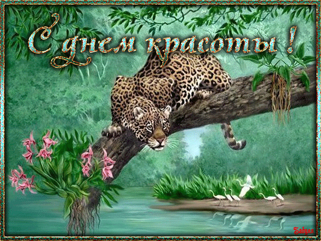 Открытки с поздравлениями на день красоты на любой вкус скачать бесплатно.