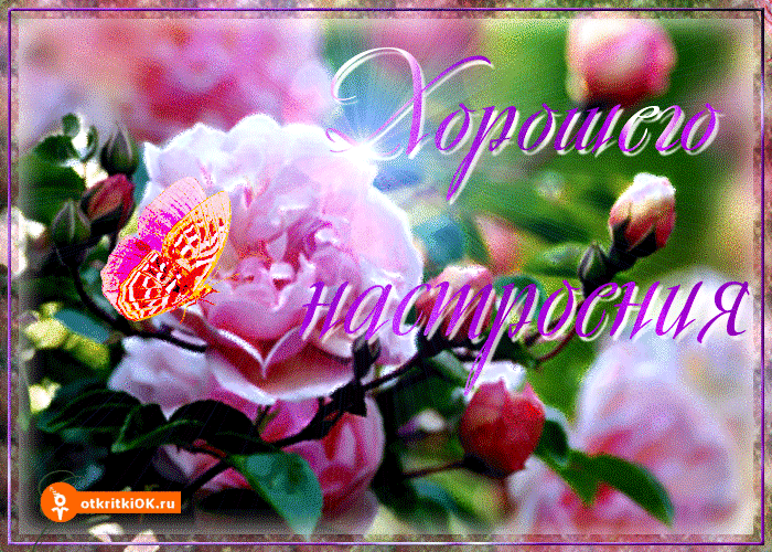 Позитивные открытки с пожеланиями хорошего настроения скачать бесплатно.