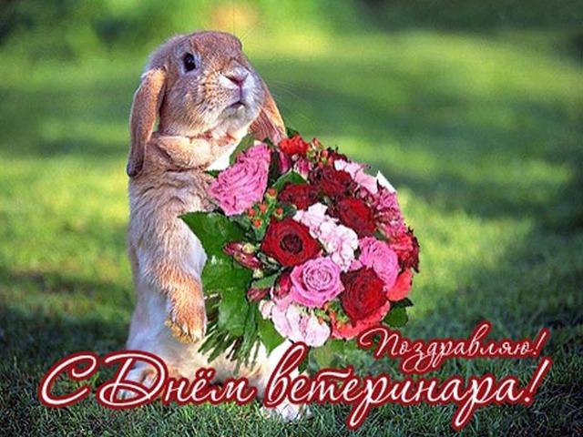 Поздравительные открытки с днем ветеринара скачать бесплатно.