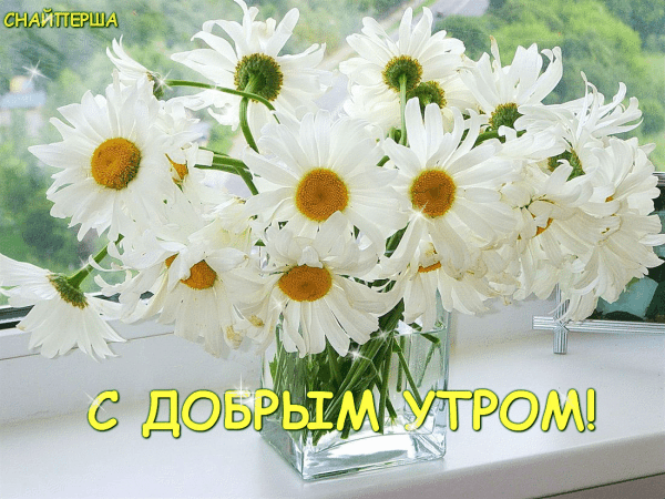Открытка с пожеланиями доброго утра на каждый день скачать бесплатно 
