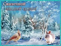 Открытки с пожеланиями отличной среды. Красивые открытки на среду.