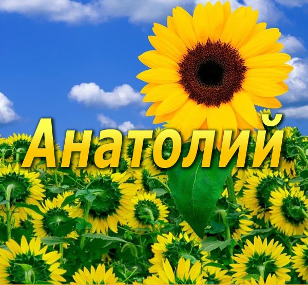 Картинки с именем Анатолий скачать бесплатно. Открытки с именем Толик.
