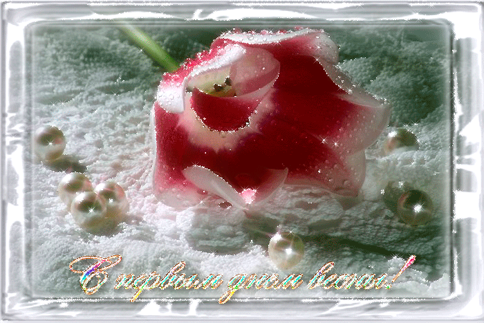 Красивые открытки с первым днем весны. Открытки с первым днем весны скачать бесплатно.