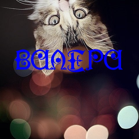 Открытки с днём рождения Валера. Поздравительные открытки с мужскими именами.