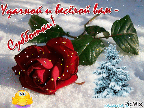 Интересные открытки на субботу. Веселые открытки на выходные.