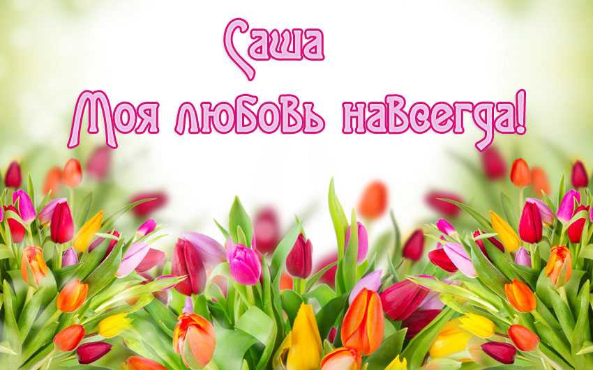 Поздравительные открытки Александру. Открытки с именем Александр скачать бесп...