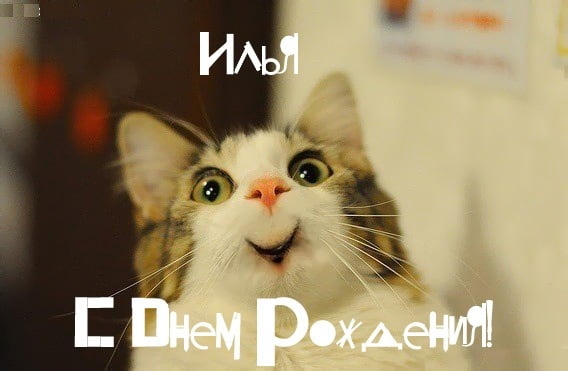 Поздравительные открытки с мужскими именами. С днём рождения Илюша открытки. ...