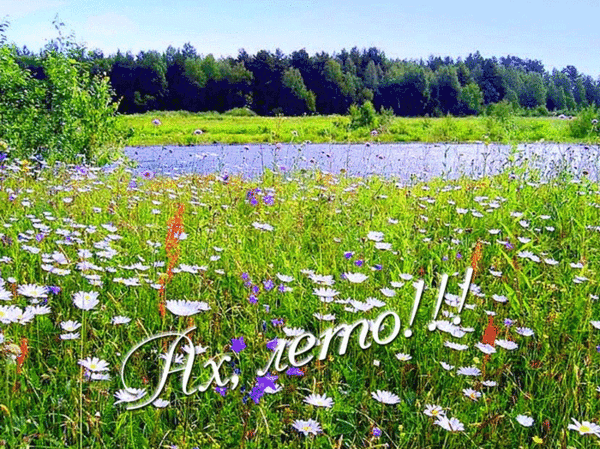 Скачать бесплатно открытки хорошего лета. Открытки с пожеланиями хорошего лета.