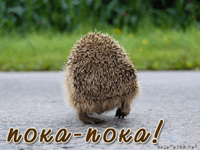 Бесплатные открытки с прощаниями. Открытки до скорой встречи скачать бесплатно.