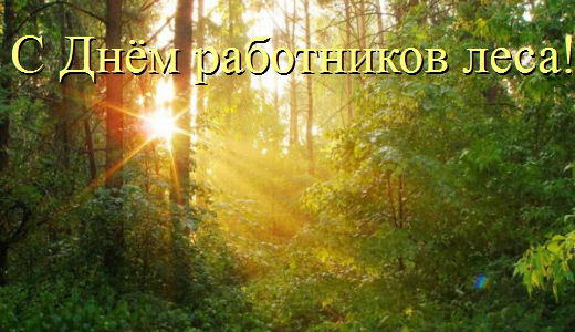 Открытки с днём работника леса с поздравлениями. Красивые открытки на день ле...