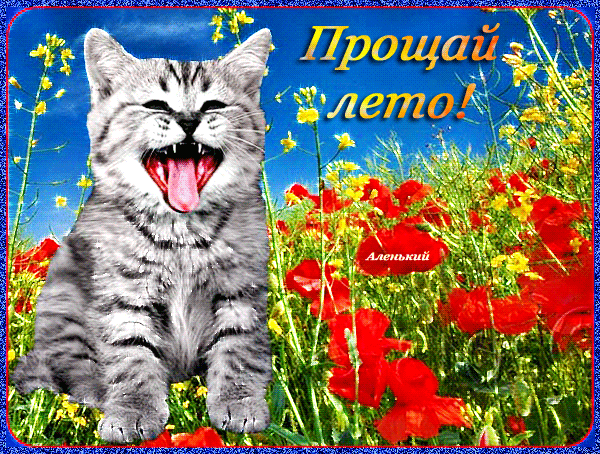 Открытки с последним днем лета скачать бесплатно. Открытки прощай лето.