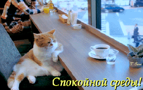 Открытки с пожеланиями отличной среды. Красивые открытки на среду.