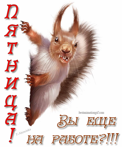 Прикольные открытки на пятницу. Открытки с пожеланиями на пятницу скачать бес...